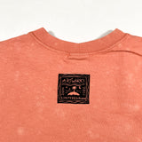 Vintage 2001 Artworks Chameleon Graphic USA Made T-Shirt