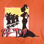 Vintage 2004 ZZ Top Summer Tour Sunset Graphic T-Shirt