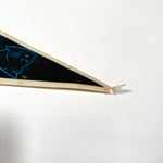 Vintage 1995 Carolina Panthers Kickoff NFL Pennant