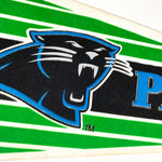 Vintage 1993 Carolina Panthers Pennant