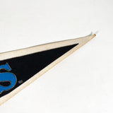 Vintage 1993 Carolina Panthers Pennant