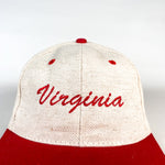 Vintage 90's Virginia Souvenir Hat