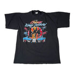 Vintage 1995 Chicago Blues Festival Grant Park T-Shirt