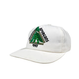 Vintage 1997 Accomac Soybeans Hat