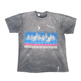 A faded dark gray short-sleeve t-shirt with a distressed acid-wash look, featuring a graphic of white palm trees against a blue and pink striped background with a white crescent moon and the text 'Palm Trees' on the chest.
