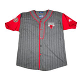 Vintage 90's Chicago Bulls Starter NBA Jersey T-Shirt
