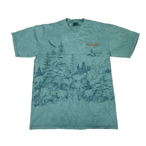Teal t-shirt with nature graphic and 'Washington' text on a white background