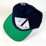 Vintage 90's Minnesota Twins Hat