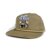 Vintage 90's Wal-Mart Ol' Roy Premium Dog Food Strapback Hat