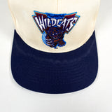 Vintage 90's Villanova Wildcats Hat