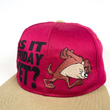 Vintage 1995 Taz Looney Tunes Friday Hat