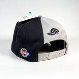 Vintage 90's Dale Earnhardt Two Tone Hat