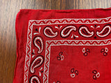 Vintage 80's Store Brand Red Paisley Fast Color Bandana