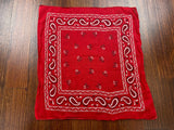Vintage 80's Store Brand Red Paisley Fast Color Bandana