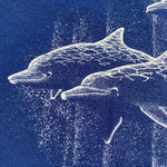 Vintage 1989 Nags Heads Dolphins Souvenir Animal T-Shirt